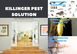 Killinger Pest Solutions