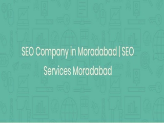 Seo Company In Moradabad