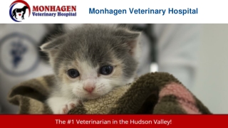 Middletown Veterinary Hospital