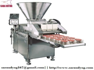 Food Processing Machine Manufacturers Company in Delhi NCR