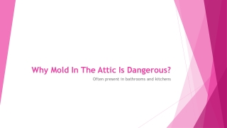 Attic Mold Cleaning Service Hillsboro OR