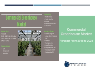 A Comprehensive Study On Commercial Greenhouse Market
