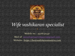 Wife vashikaran specialist