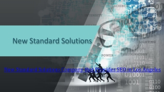 New Standard Solutions Company that Provides SEO in Los Angeles