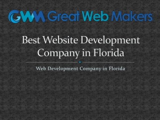 Best Website Development Company in Florida