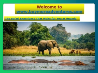 Safari Experience that Waits for you at Uganda
