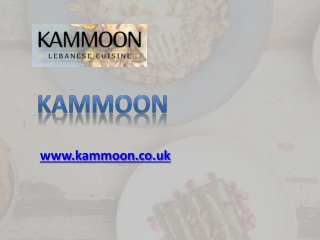 Lebanese Mobile Catering - kammoon.co.uk