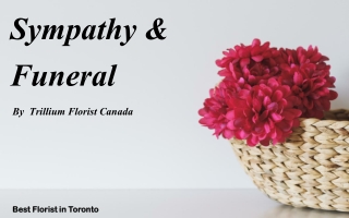Sympathy & Funeral Flowers Toronto by best Florist in Toronto