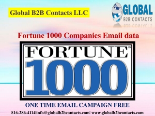 Fortune 1000 Companies Email data