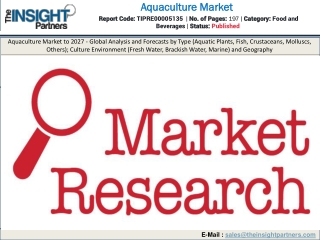 Global Aquaculture Market Insights Report