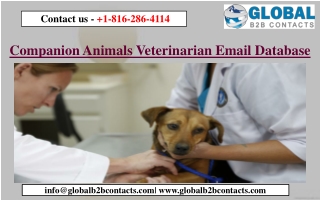 Companion Animals Veterinarian Email Database