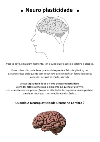 Neuro plasticidade