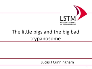 The little pigs and the big bad trypanosome