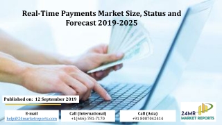 Real Time Payments Market Size, Status and Forecast 2019-2025