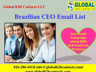 Brazilian CEO Email List
