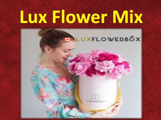 Lux Flower Mix