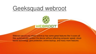 geek squad webroot