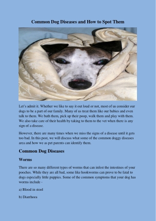 Common Dog Diseases and How to Spot Them