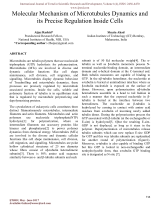 Molecular Mechanism of Microtubules Dynamics and its Precise Regulation Inside Cells