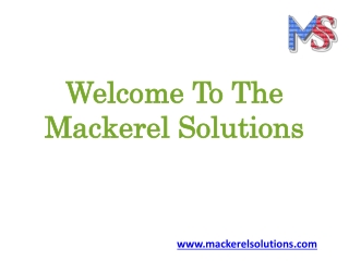 Social Media Marketing Services - Mackerel Solutions