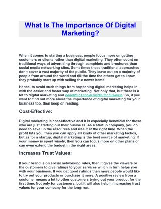 What Is The Importance Of Digital Marketing?