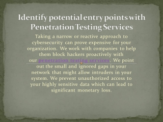 Advance Penetration Testing Services for Security.