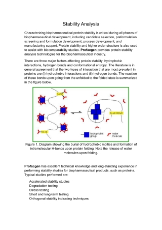 Stability Analysis