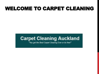 Carpet Cleaning Auckland | Hire Professional Rug Cleaners | 09-377 9044