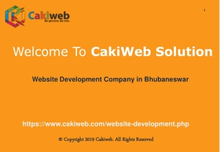 Website Development Company in Bhubaneswar