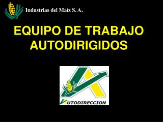 EQUIPO DE TRABAJO AUTODIRIGIDOS