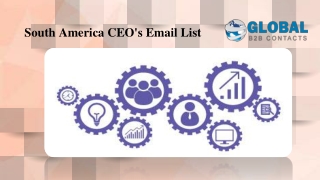 South America CEO's Email List