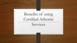 Benefits of Using Certified Aborist Services