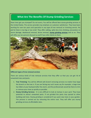 What Are The Benefits Of Stump Grinding Services