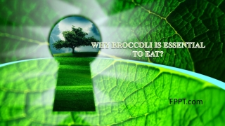 Why Broccoli is essential to eat?