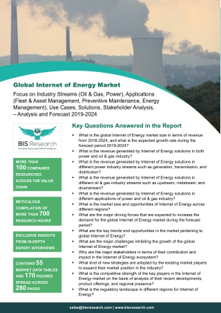 Internet of Energy Market Share, 2019-2024