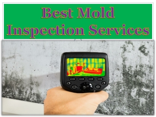 Best Mold Inspection Services