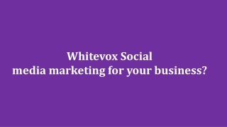 Why choose Whitevox Social media marketing for your business?