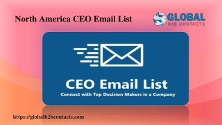 North America CEO Email List