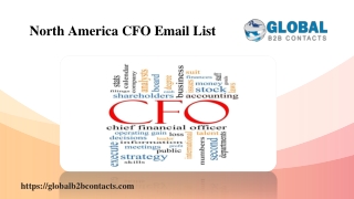 North America CFO Email List