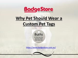 Why Pet Should Wear a Custom Pet Tags