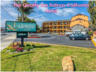 Visitors Planning To Travel Salinas, Ca And Looking For The Best Stay Option Shall Check This