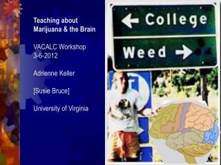 Teaching about Marijuana & the Brain VACALC Workshop 3-6-2012 Adrienne Keller [ Susie Bruce ] University of Virgini