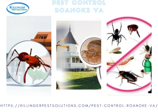 Pest Control Roanoke VA