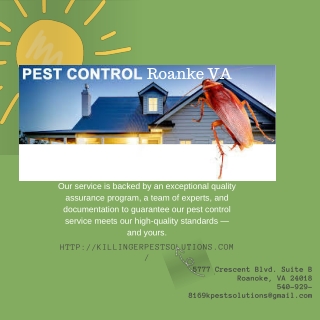 Pest Control Roanoke VA