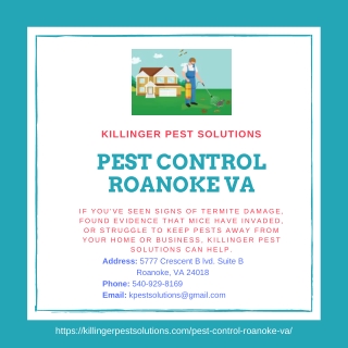 Pest Control Roanoke VA