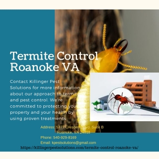 Termite Control Roanoke VA