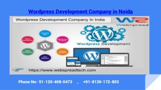 Wordpress Development Company in Noida