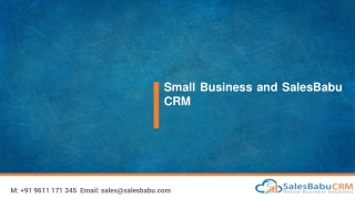Small Business and SalesBabu CRM