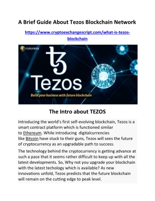 A Brief Guide about Tezos Blockchain Network