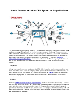 How to Develop a Custom CRM System for Large Business